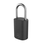 Live Padlock - Image 2
